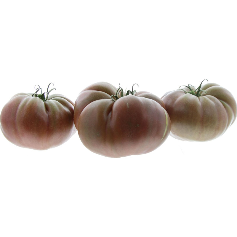 TOMATE ADORA 2,5KG